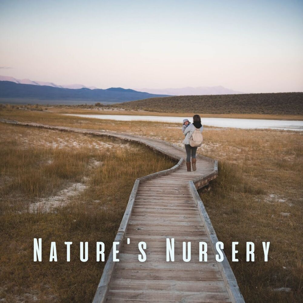 Picture of Nature's Nursery: Ambient Sounds for Baby's Serene Moments