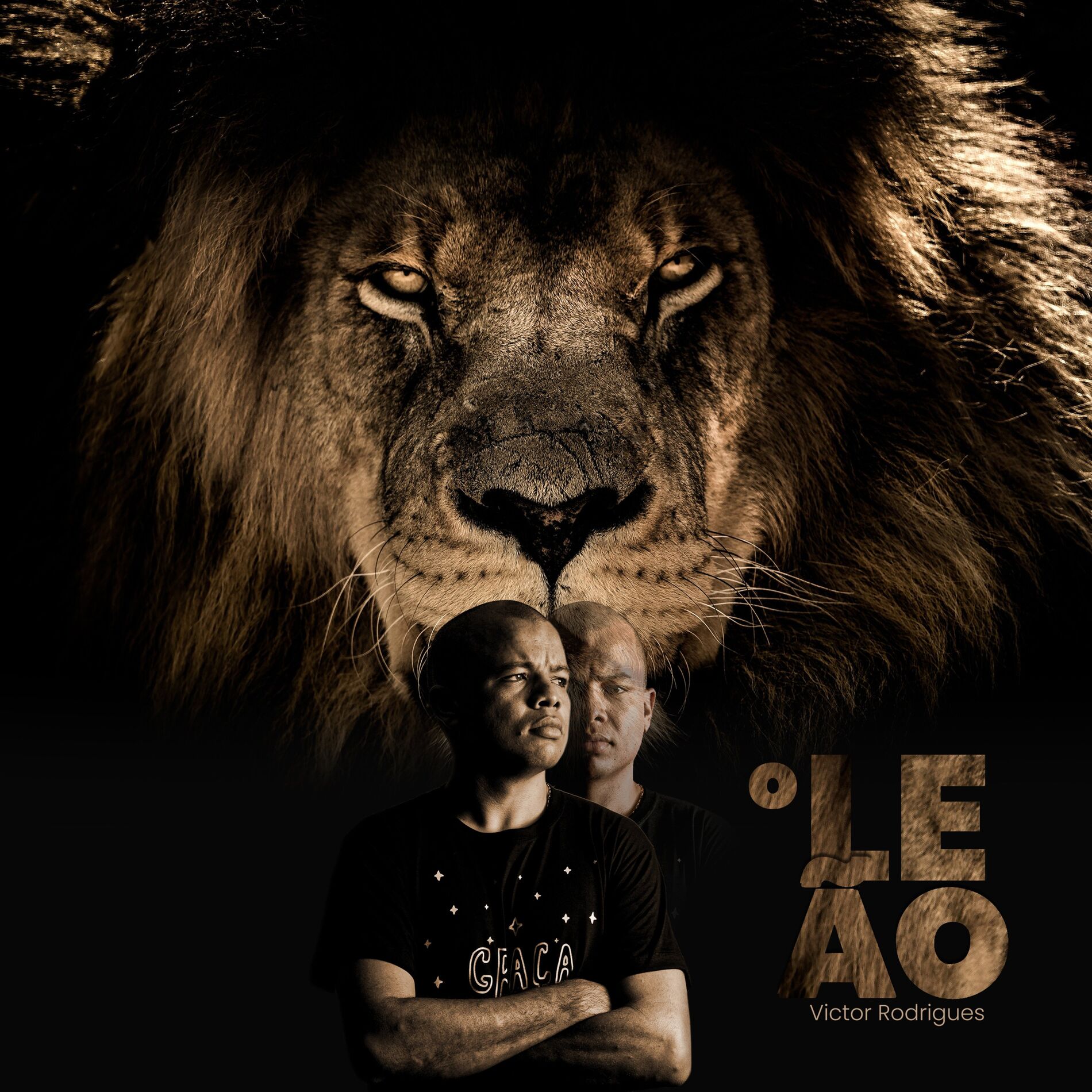 Album cover of O Leão