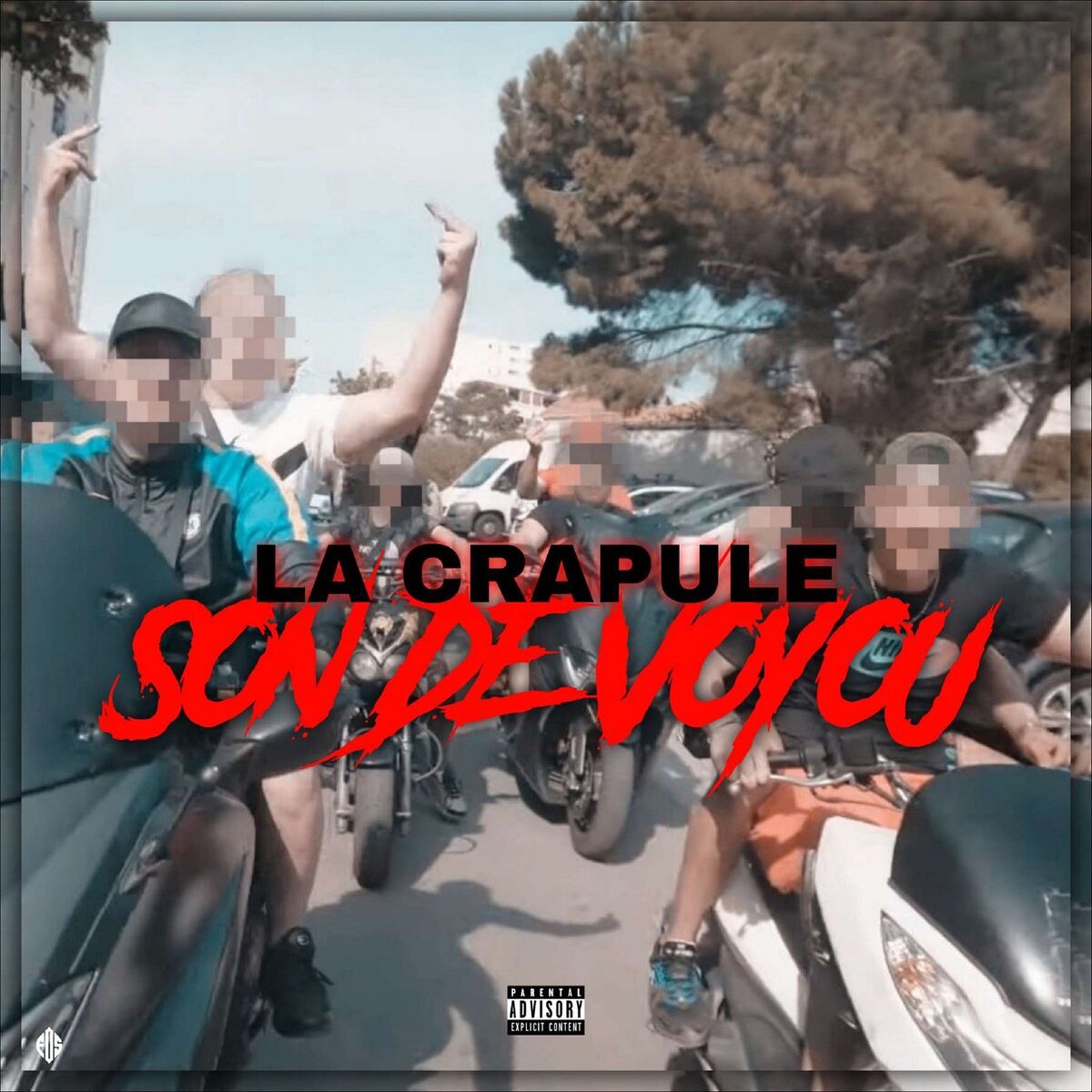 Album cover of Son De Voyou