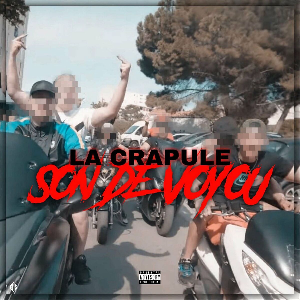 Album cover of Son De Voyou