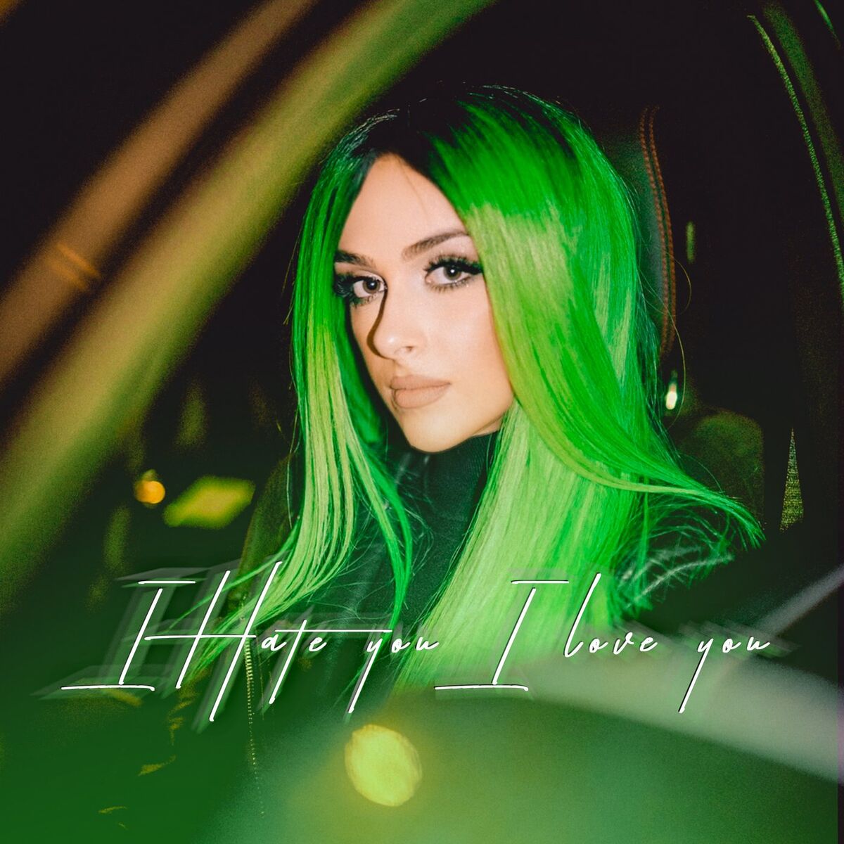 Album cover of I Hate You, I Love You