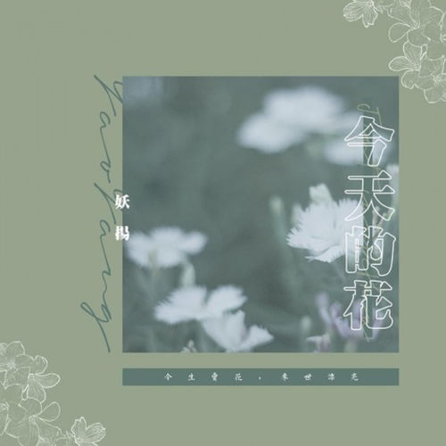 今天的花