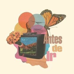 Cover of Antes de ir