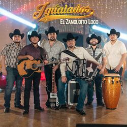 Cover of El Zancudito Loco (Live)