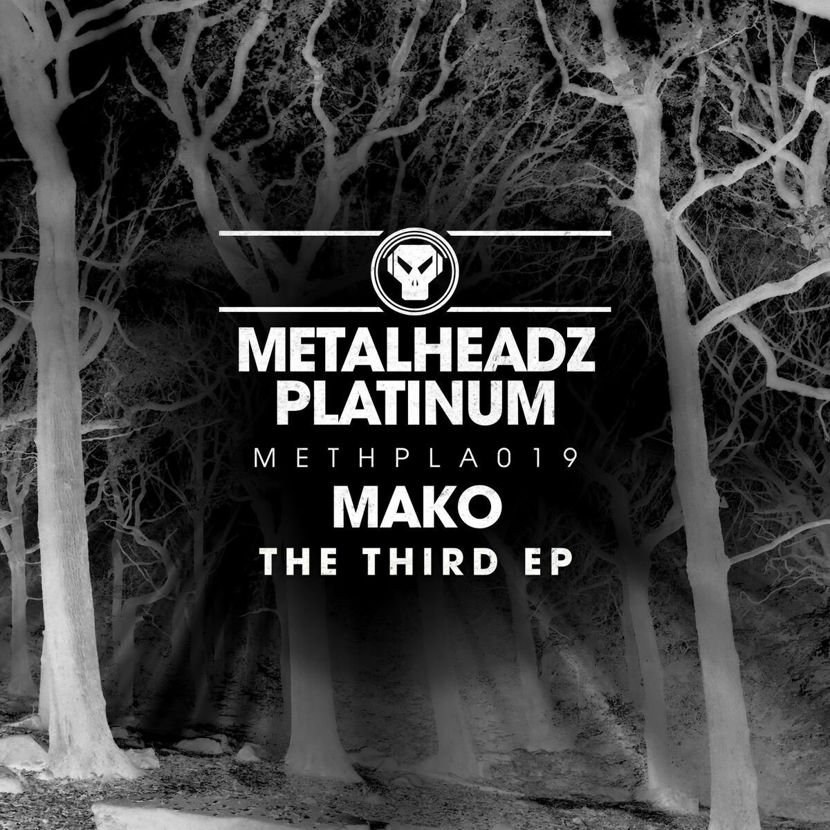 Album cover of The Third