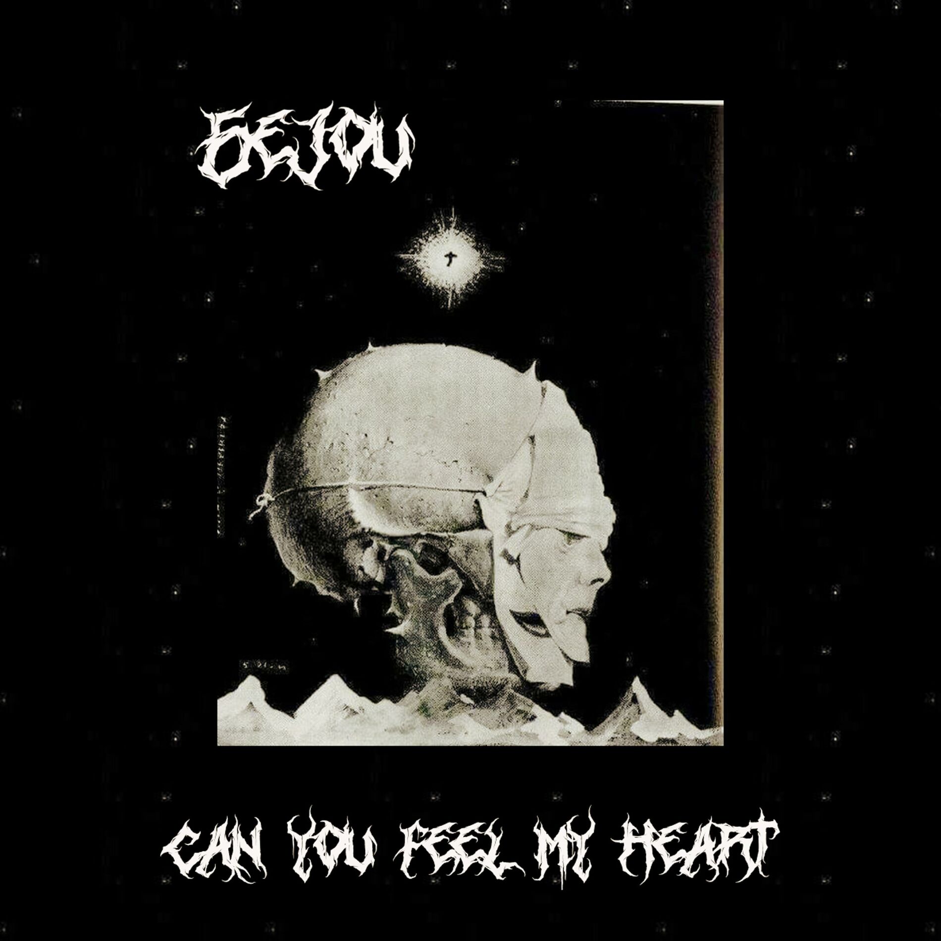 Album cover of Can You Feel My Heart