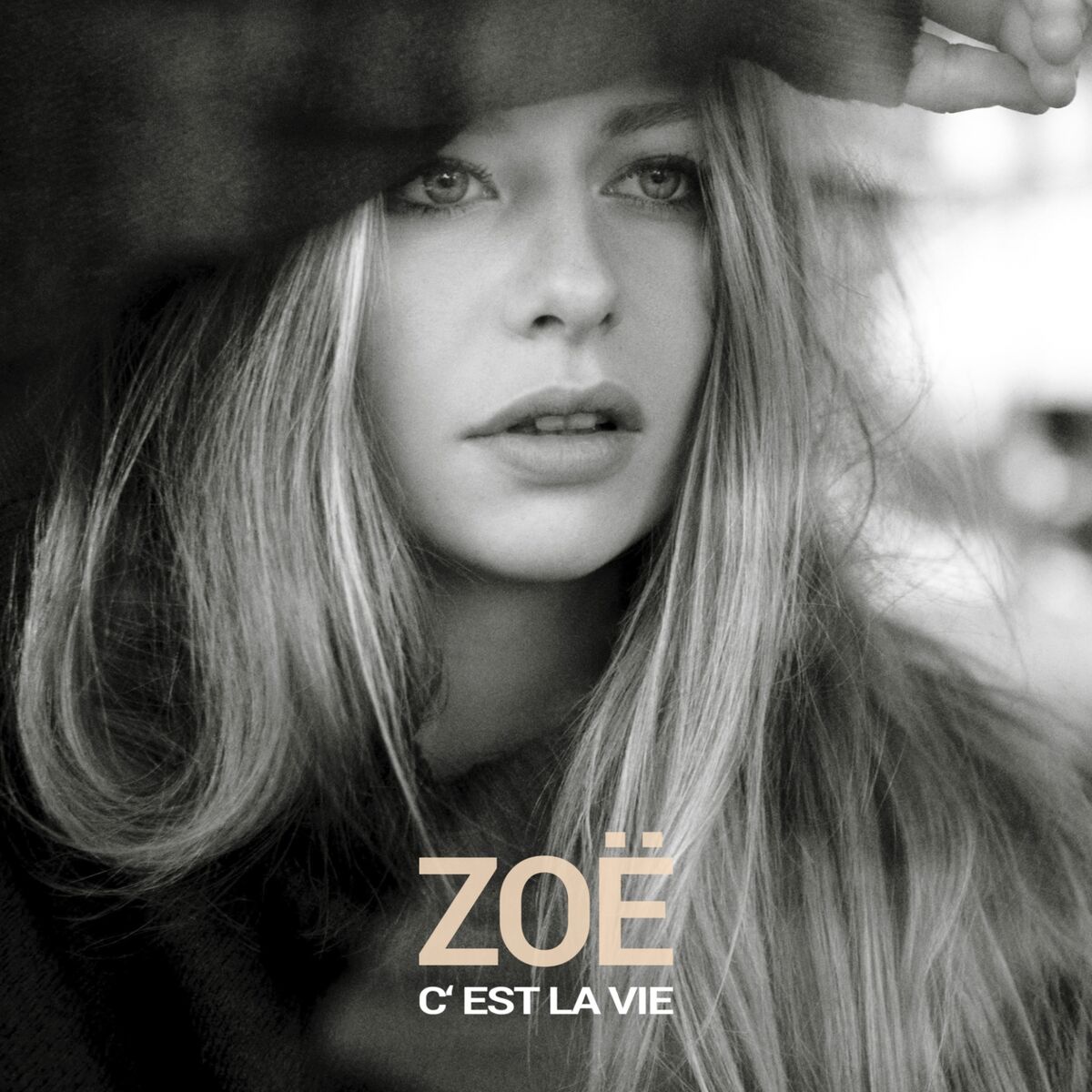 Album cover of C'est la vie