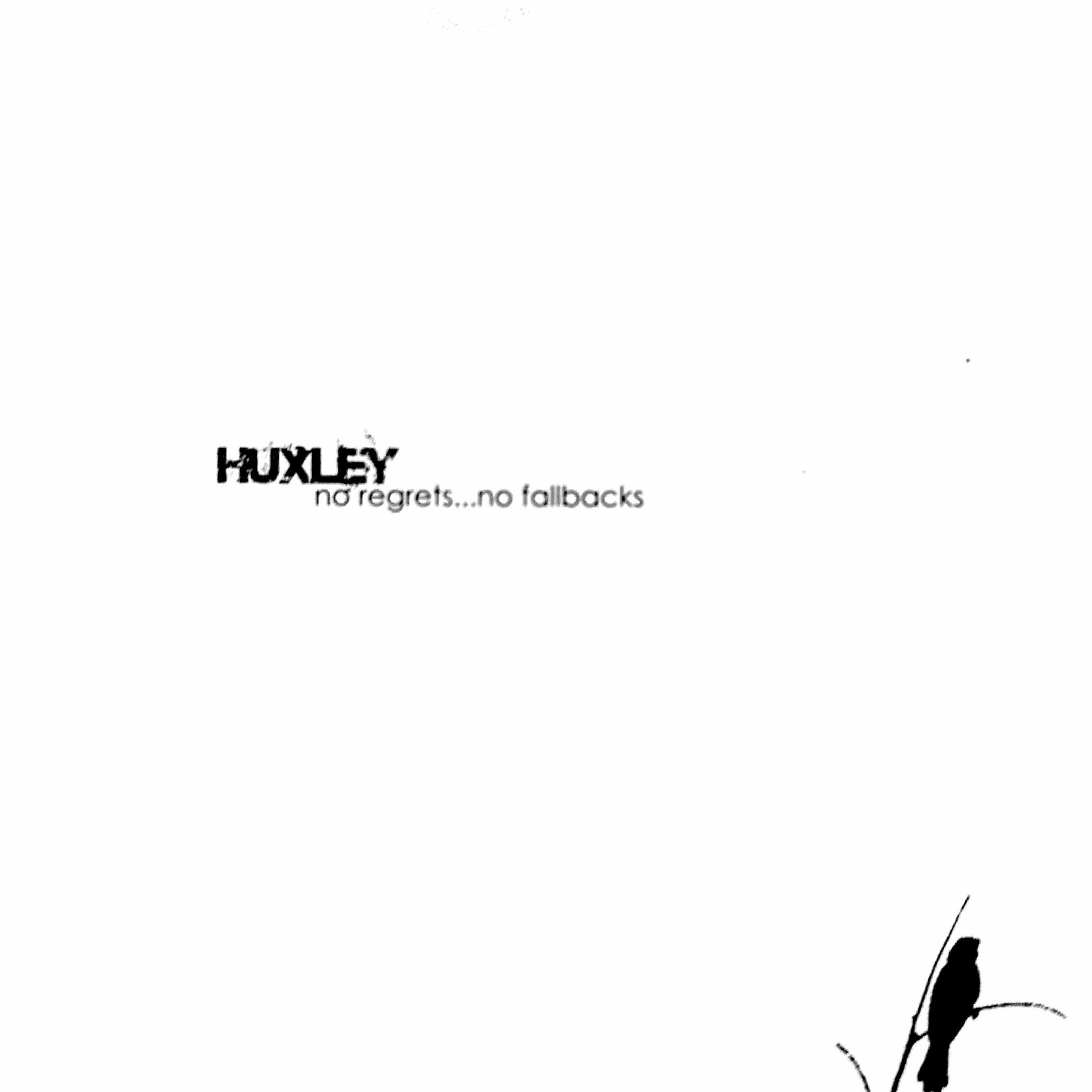 Album cover of No Regrets...No Fallbacks