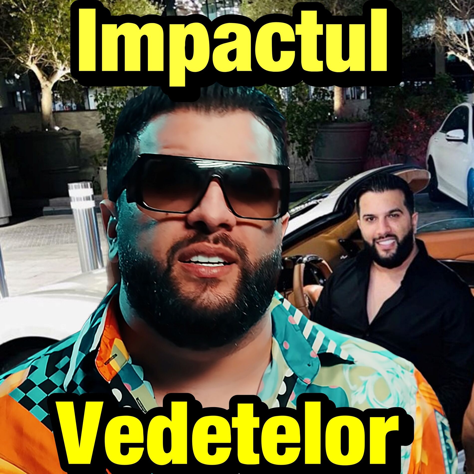 Album cover of Impactul Vedetelor