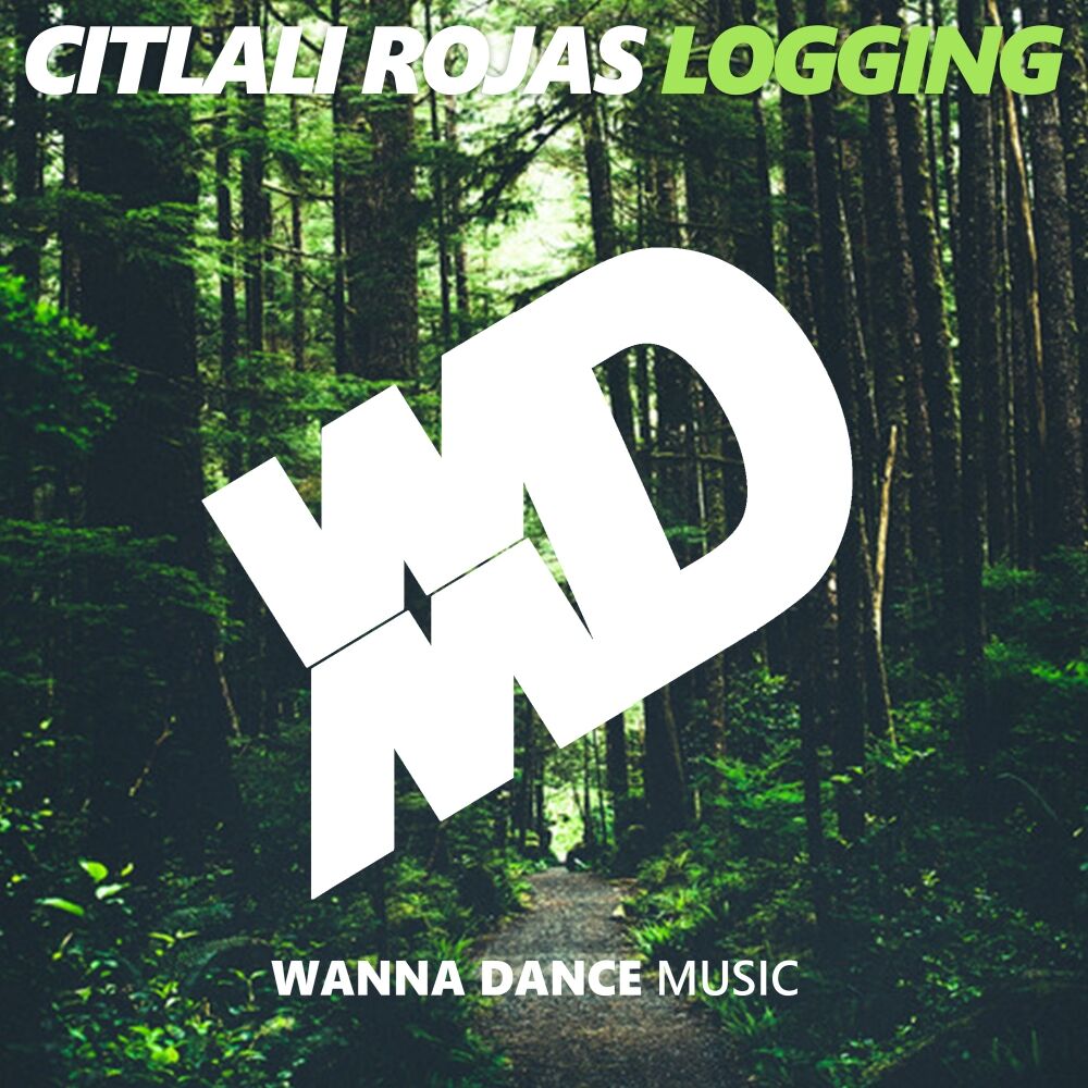Picture of Logging