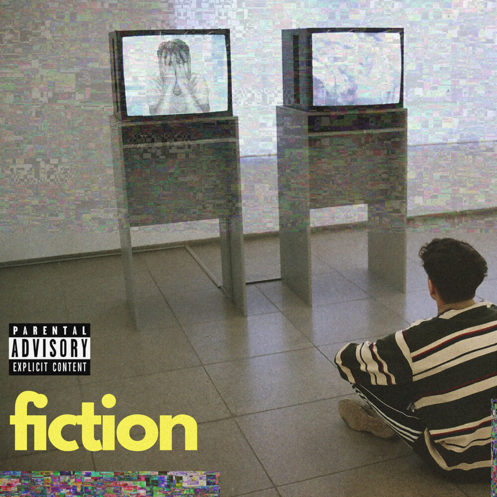 Picture of Fiction