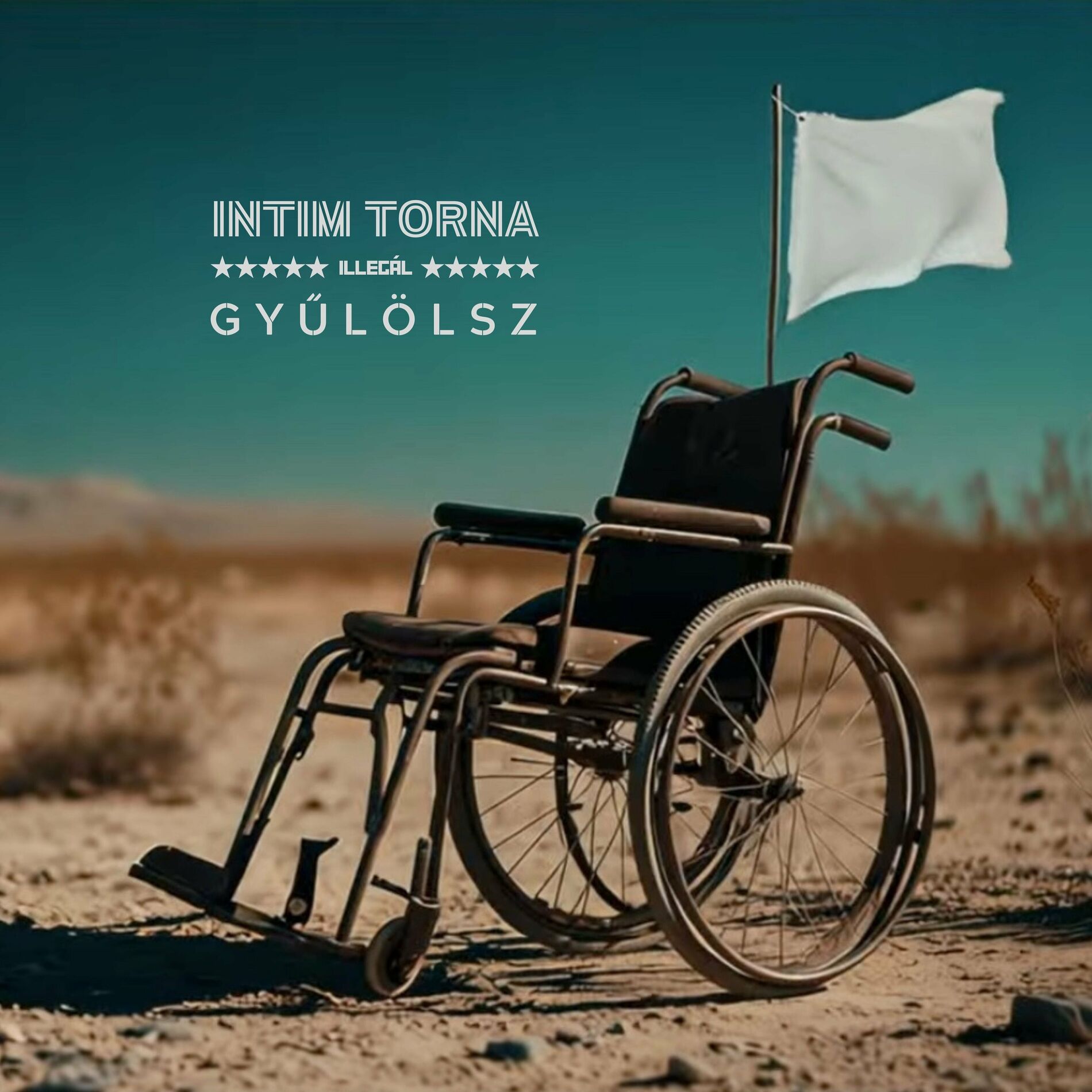 Album cover of Gyűlölsz
