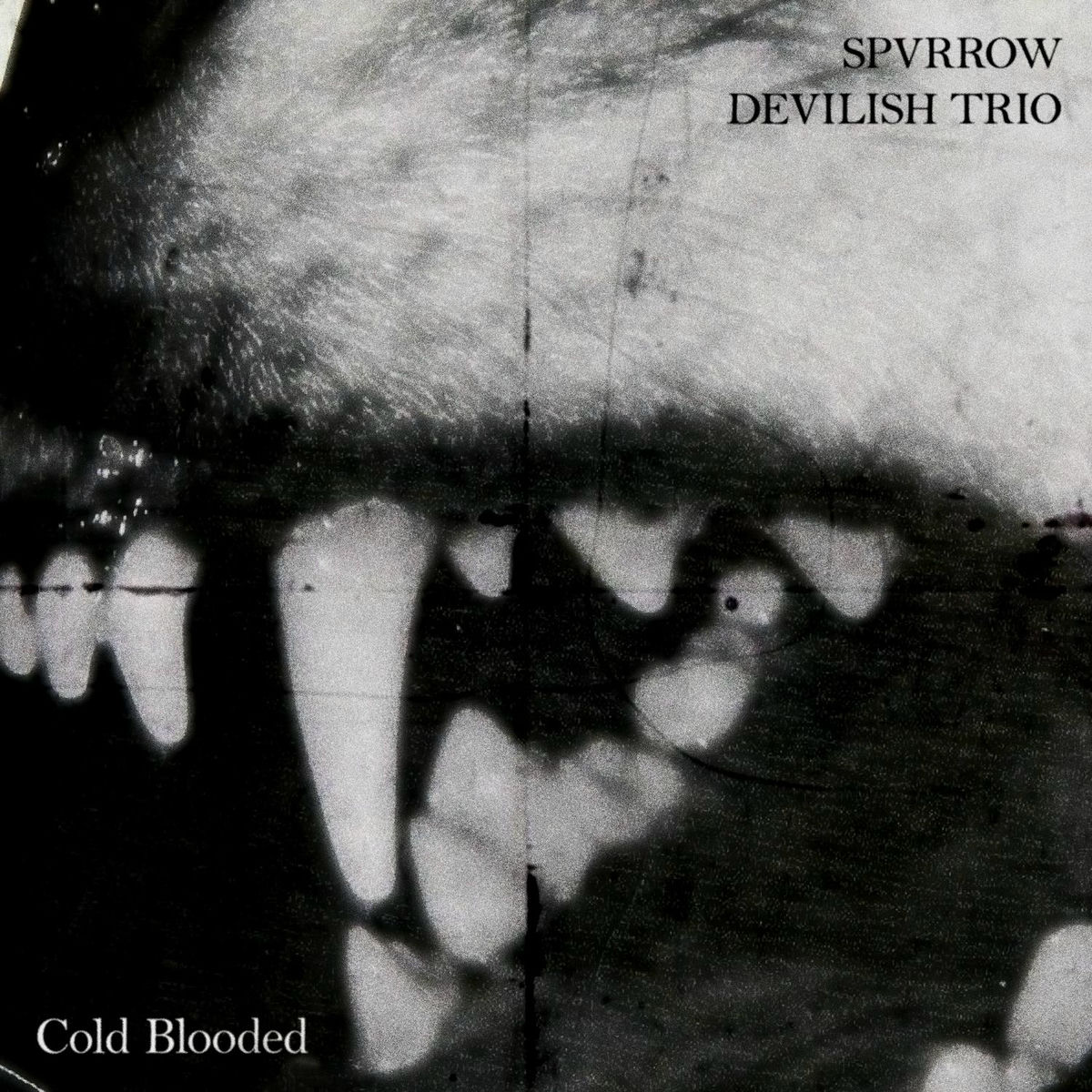 Album cover of Cold Blooded