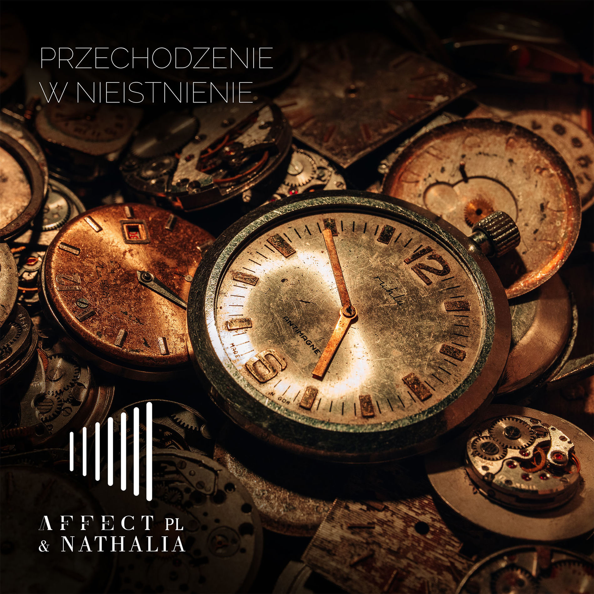 Album cover of Przechodzenie w nieistnienie (Radio Edit)