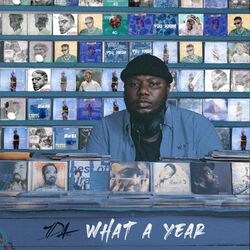 Cover of What A Year