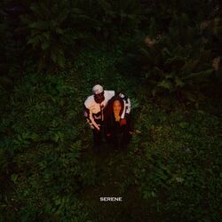 Cover of Serene