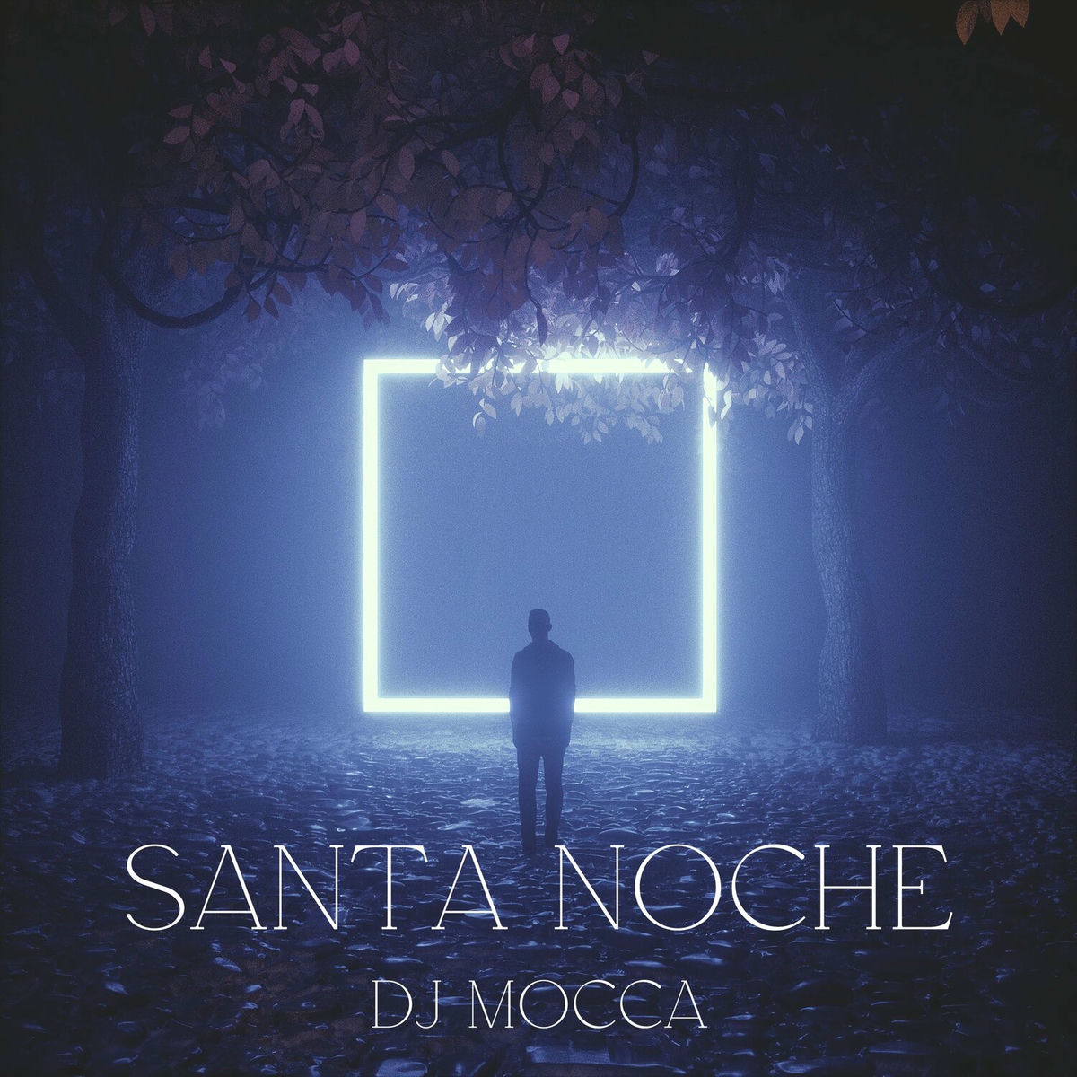 Album cover of Santa Noche (Remix)