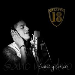 Cover of Sano y Salvo