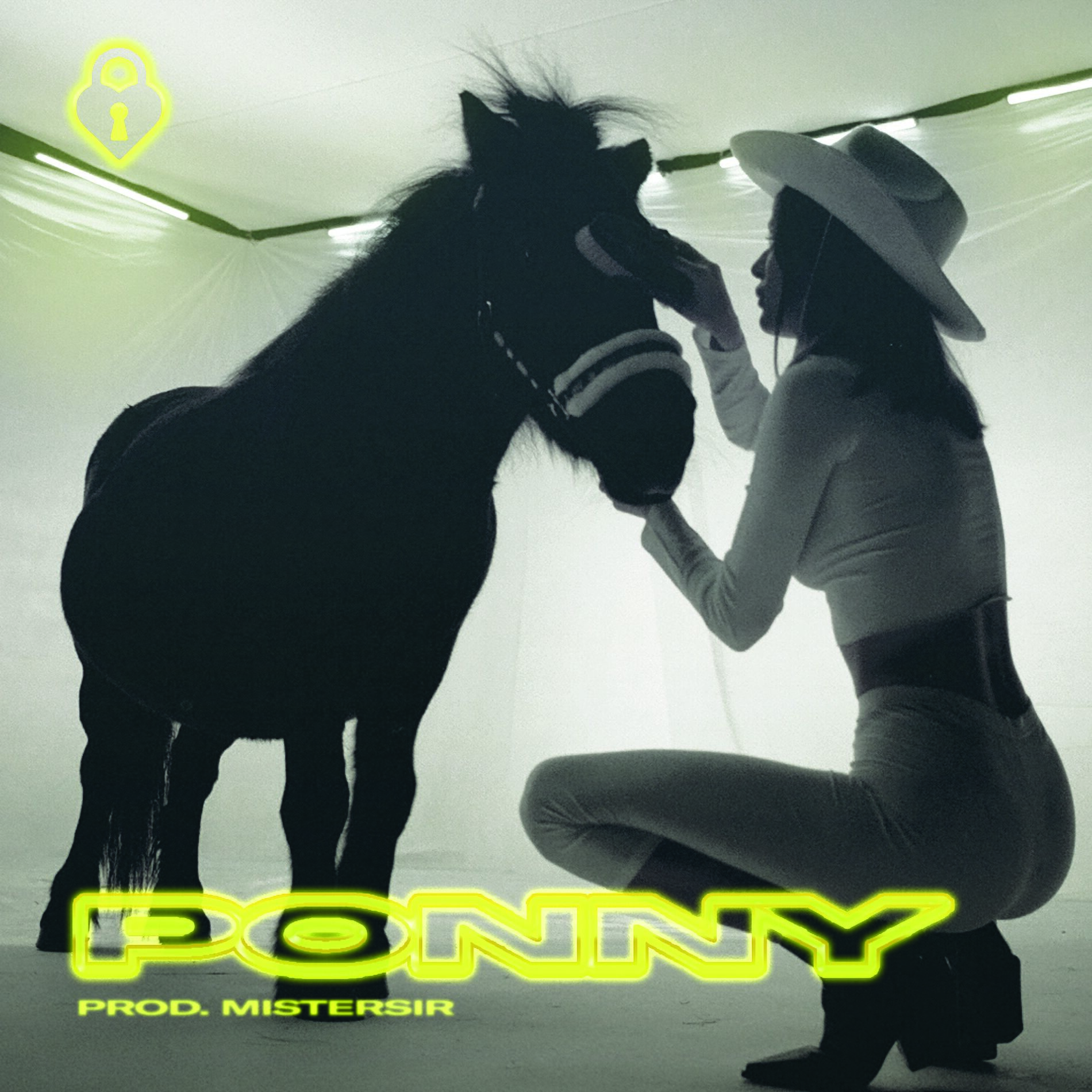 Album cover of Ponny