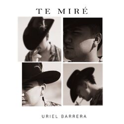 Cover of Te Miré