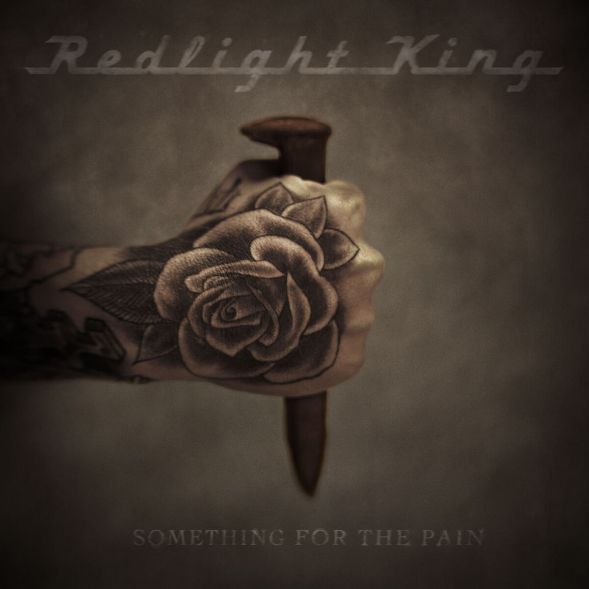 Album picture of Something For The Pain