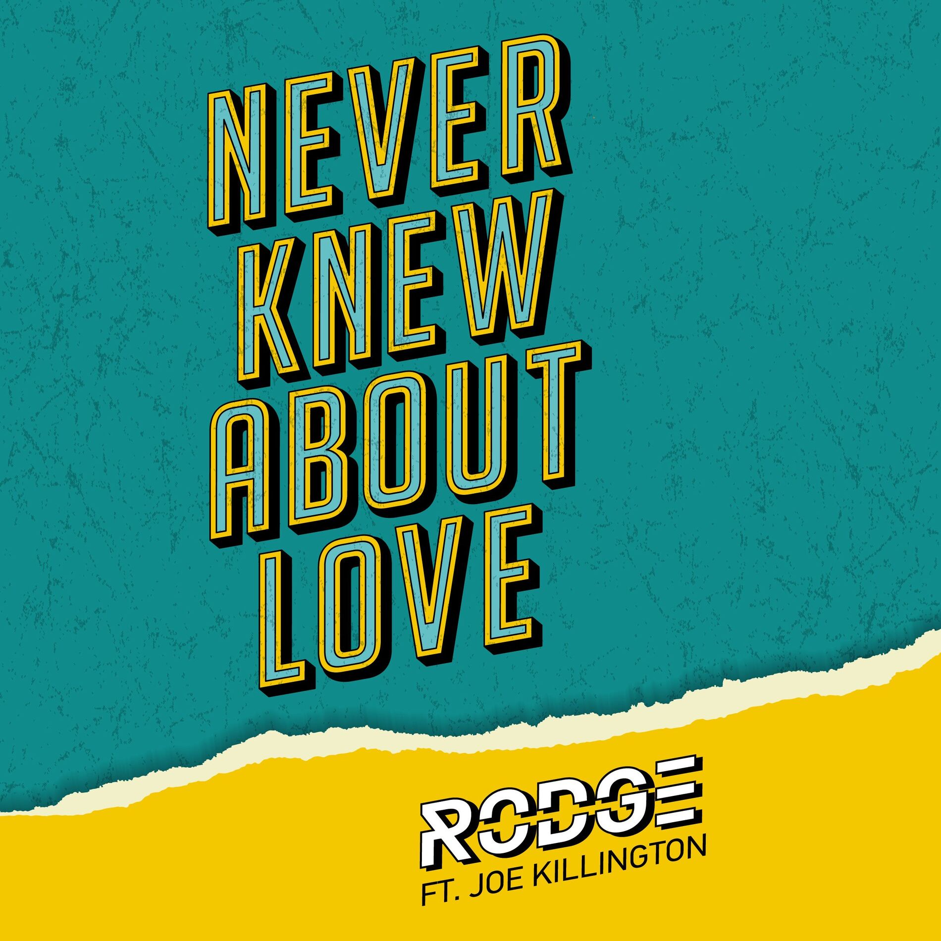 Album cover of Never Knew About Love