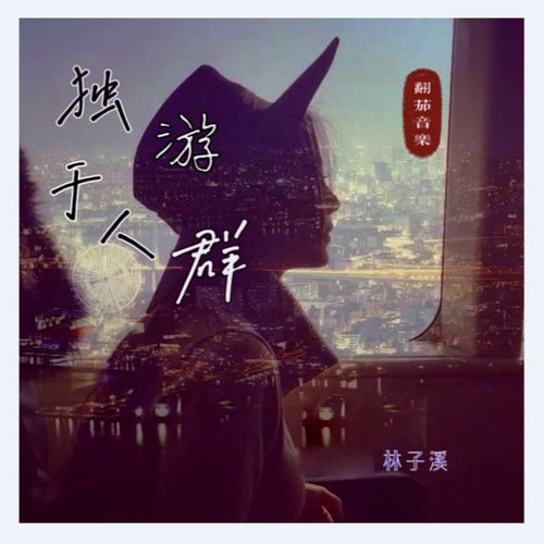 独游于人群 (DJ野马版)