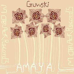 Capa de Amaya