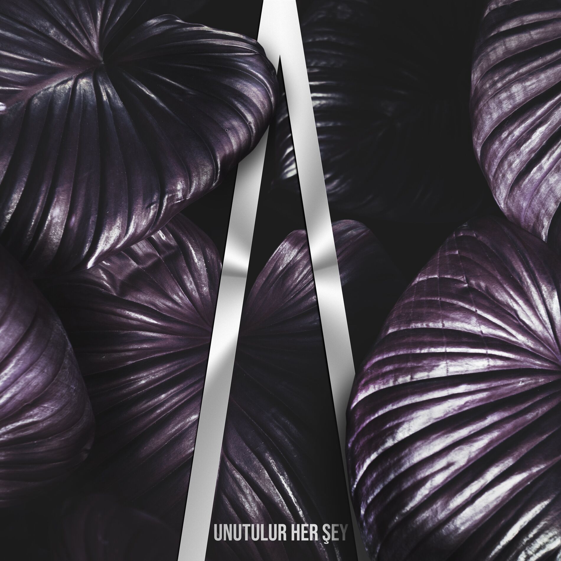 Album cover of Unutulur Her Şey