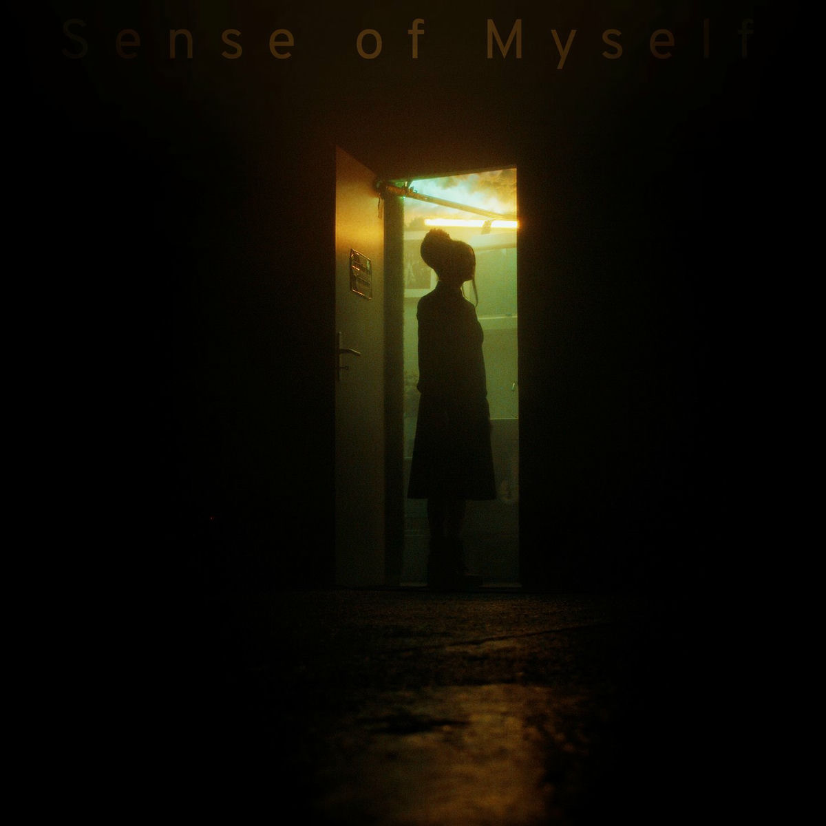 Album cover of Sense of Myself
