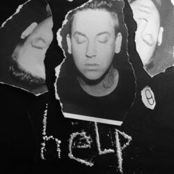 Cover of help