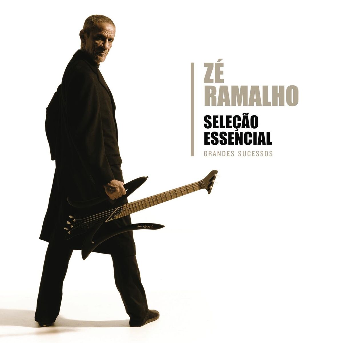Album cover of Admirável Gado Novo