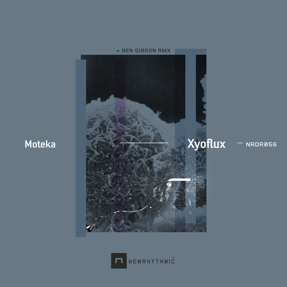Picture of Xyoflux
