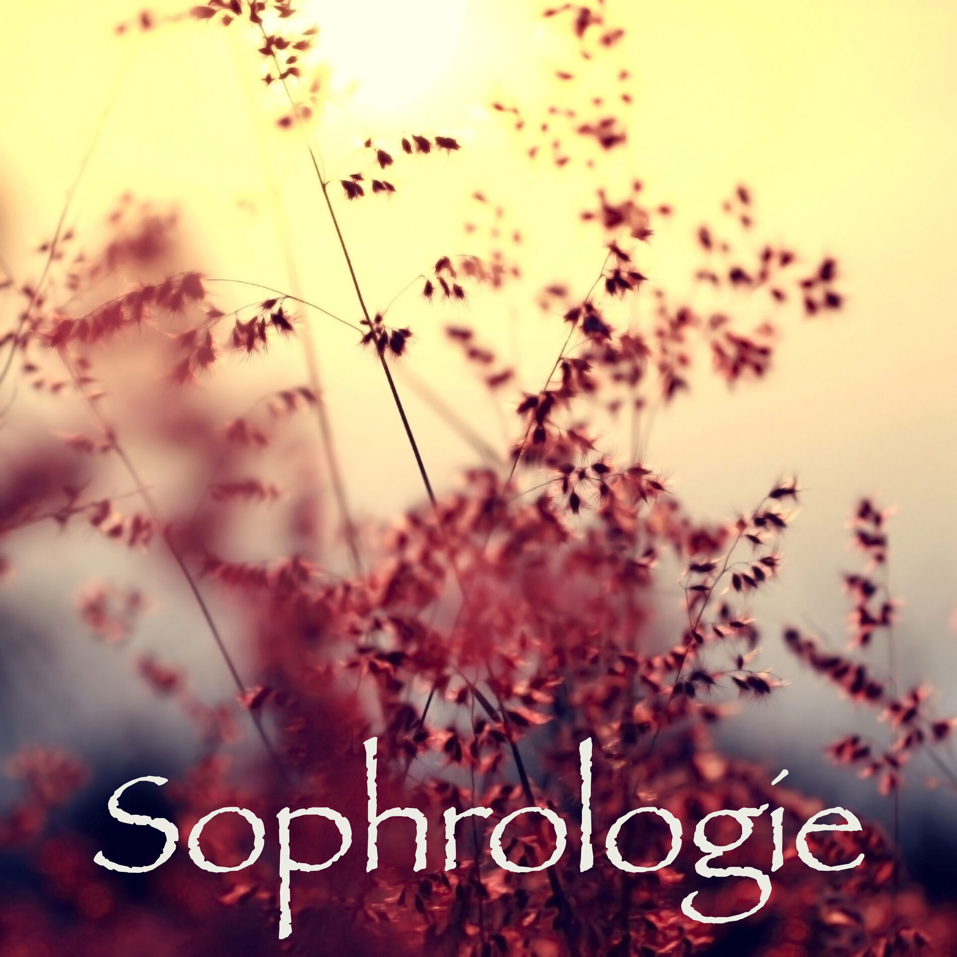 Album cover of Sophrologie – Musique de fond pour visualisation positive et séance de relaxation pour se détendre, sonorités apaisantes