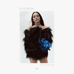 Cover of chapter one: blue