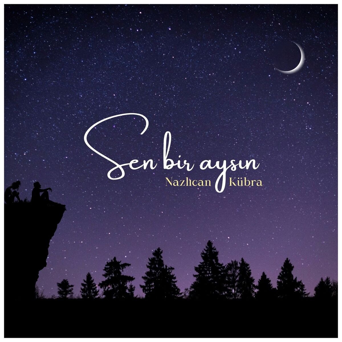 Album cover of Sen Bir Aysın