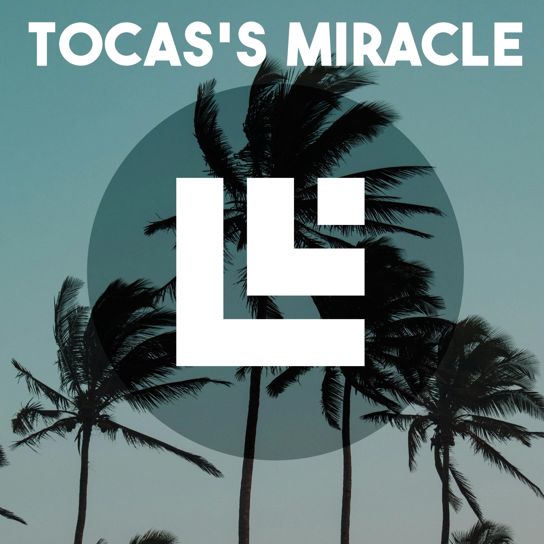 Album cover of Toca's Miracle