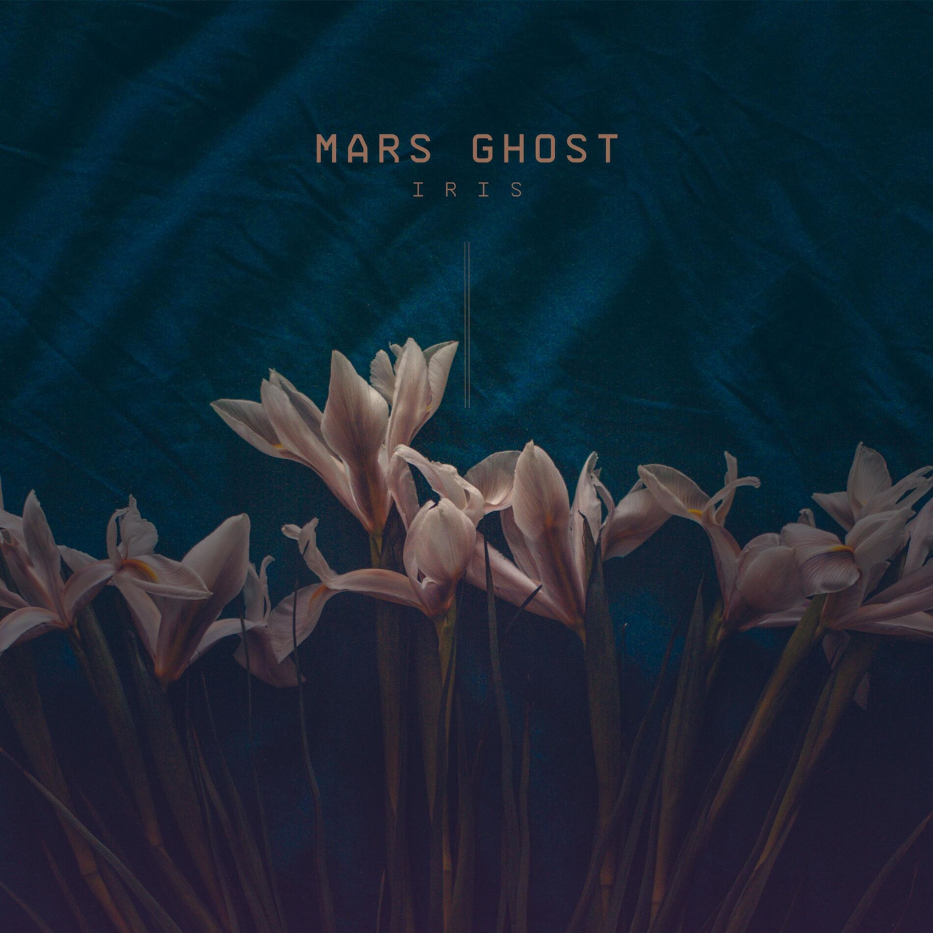 Album cover of Iris (Moderato in C sharp minor)