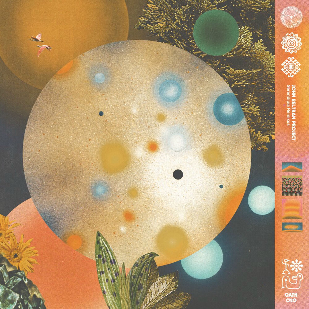 Album cover of Serendipia Remixed