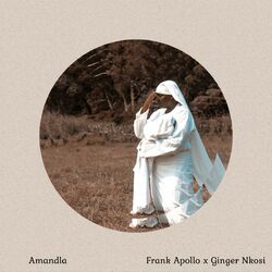 Cover of Amandla