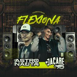 Cover of Forrozinho Flexiona