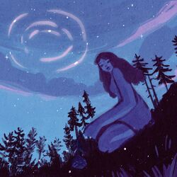 Cover of Reflections