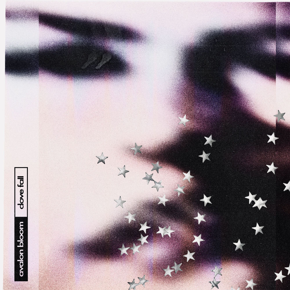 Cover du titre Dove Fall