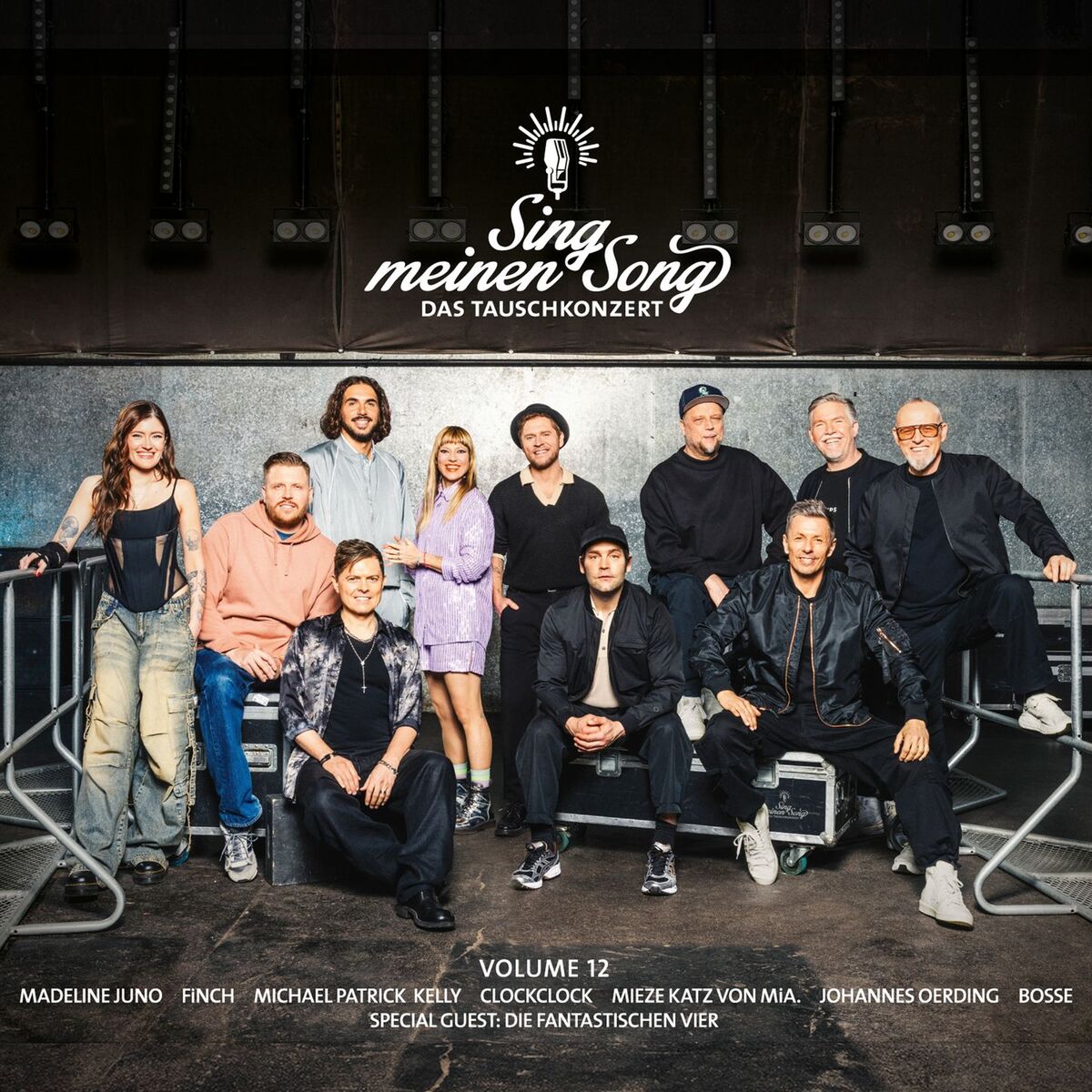 Album cover of Sing meinen Song - Das Tauschkonzert, Vol. 12