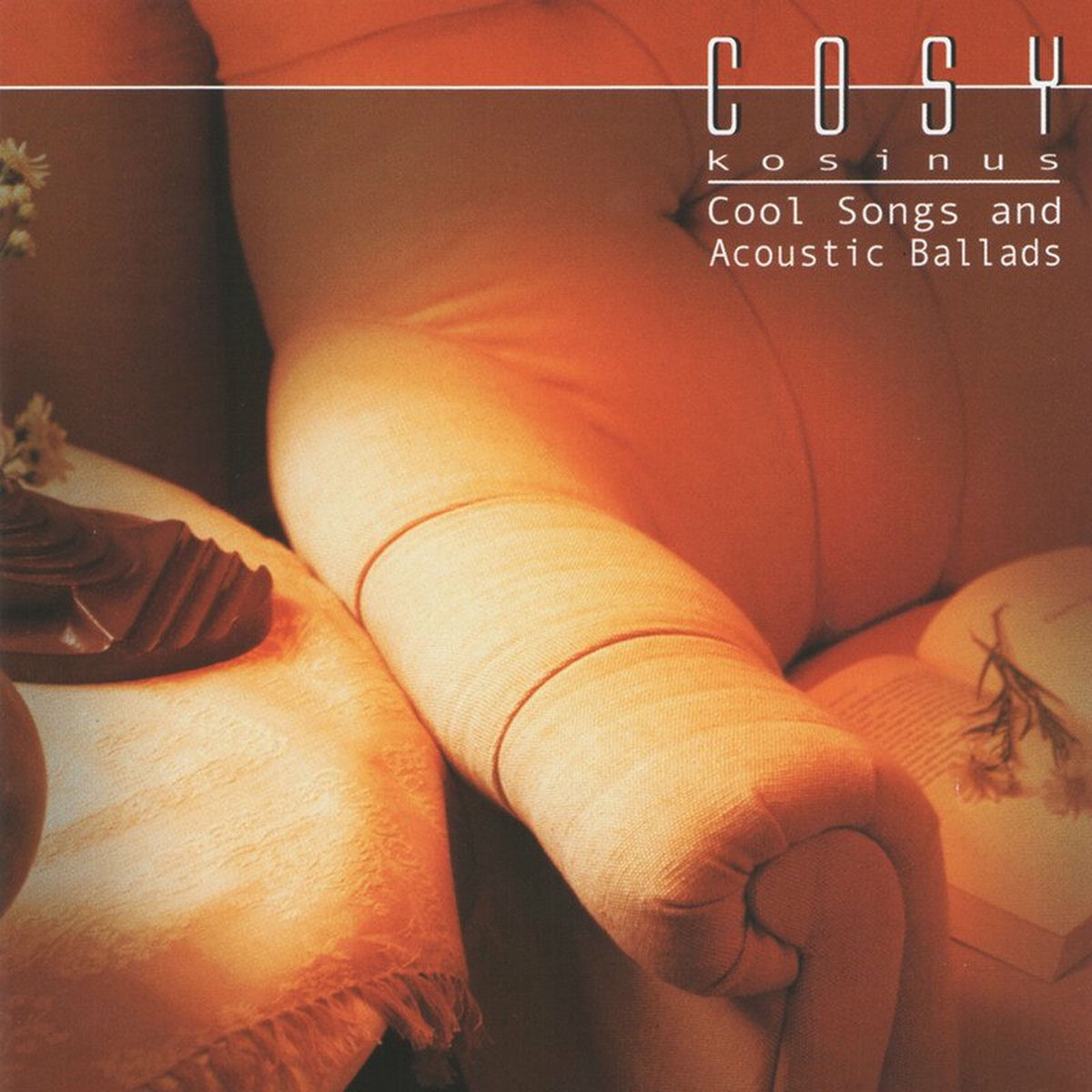 Album cover of Cosy