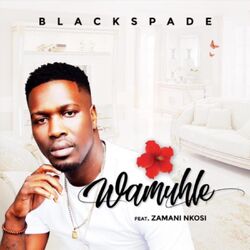 Cover of Wamuhle