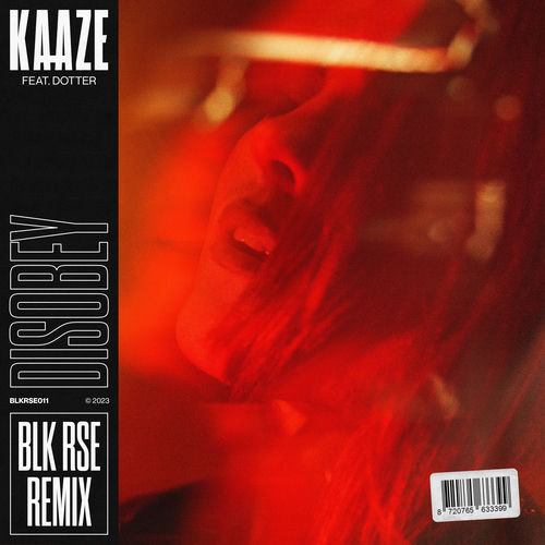Disobey - BLK RSE Remix by KAAZE - 128 BPM