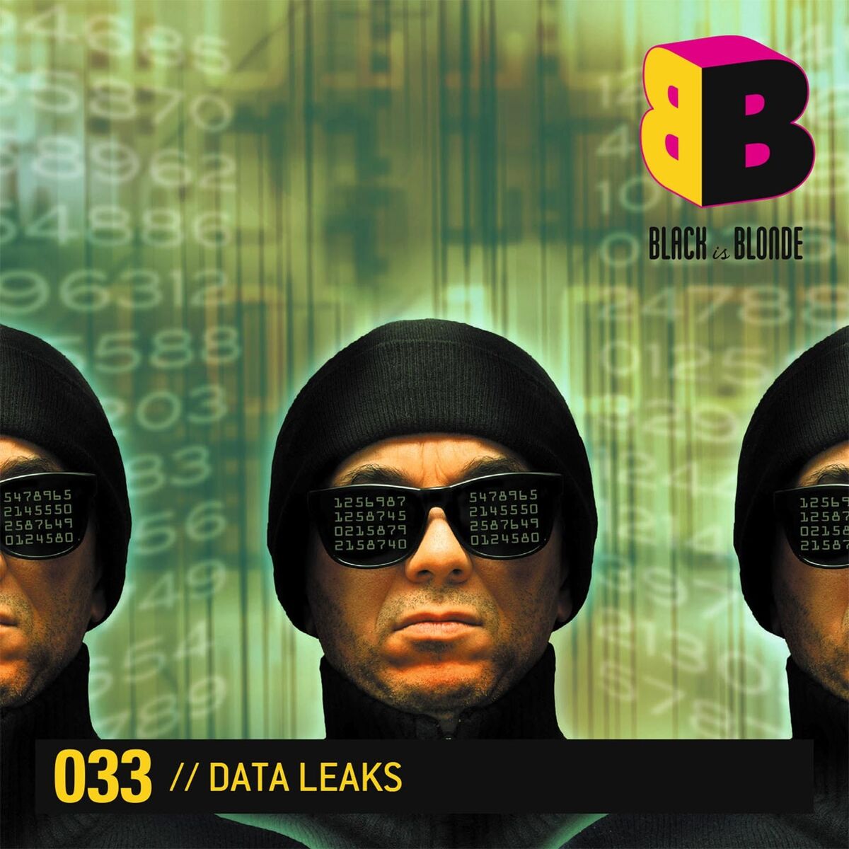 Album cover of Data Leaks
