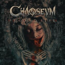 Cover of Second Life