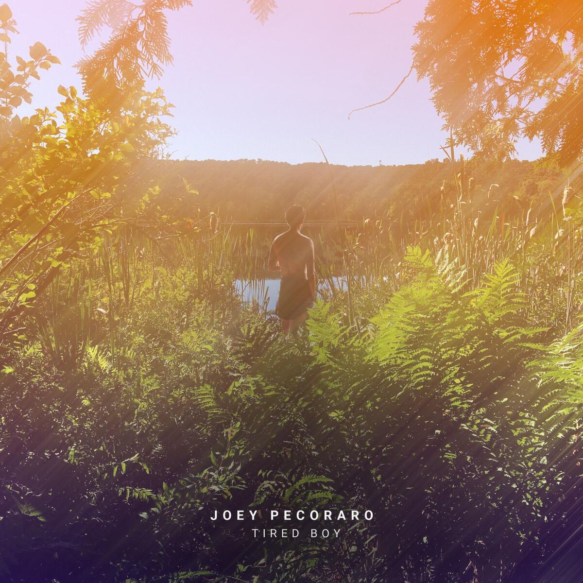 Album cover of Finding Parking